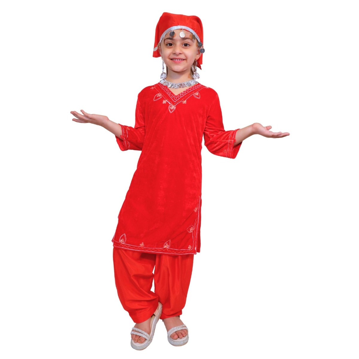 Kashmir State Theme Costume for Girls