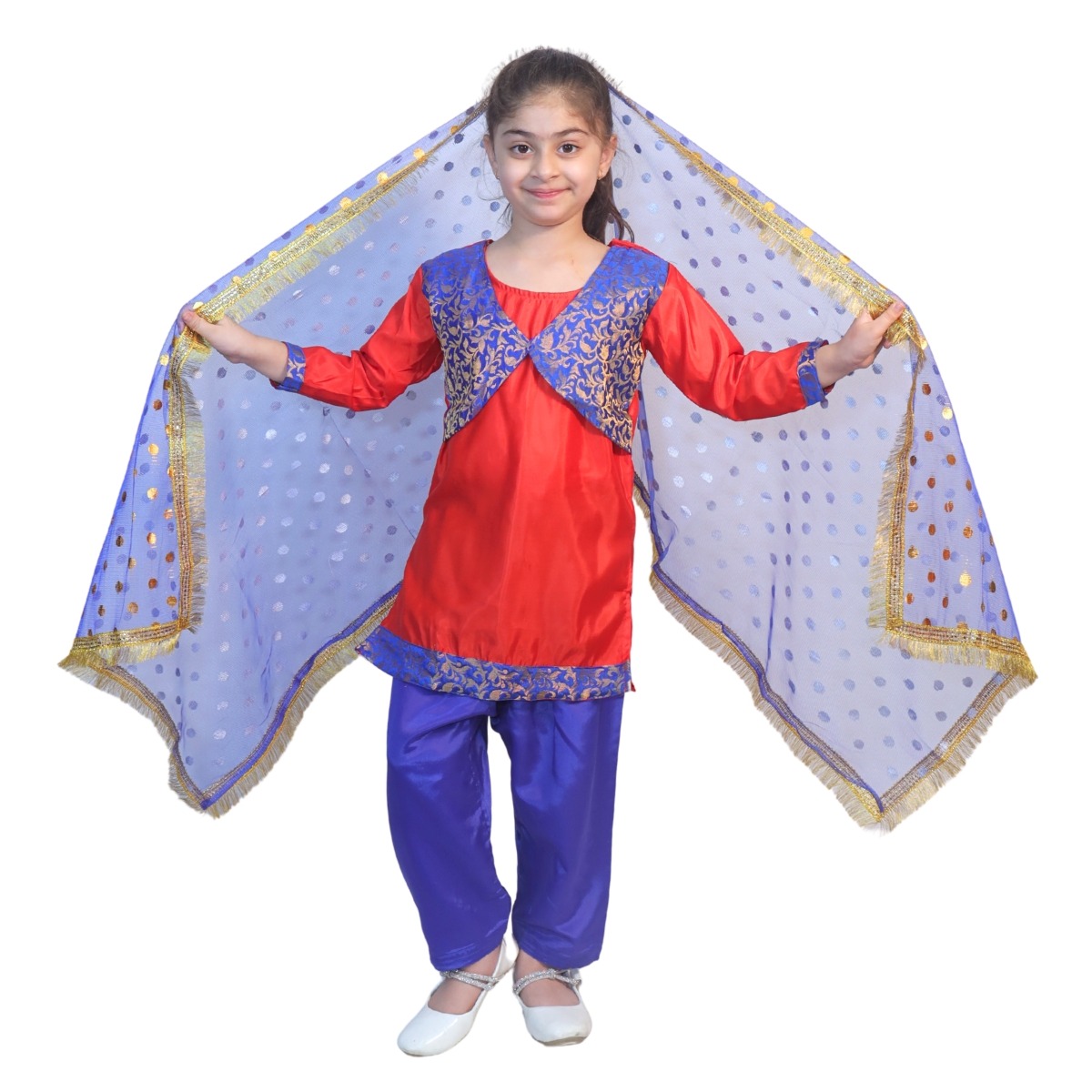 Punjabi Girl Ethnic Costume for Dance Performance & Parties