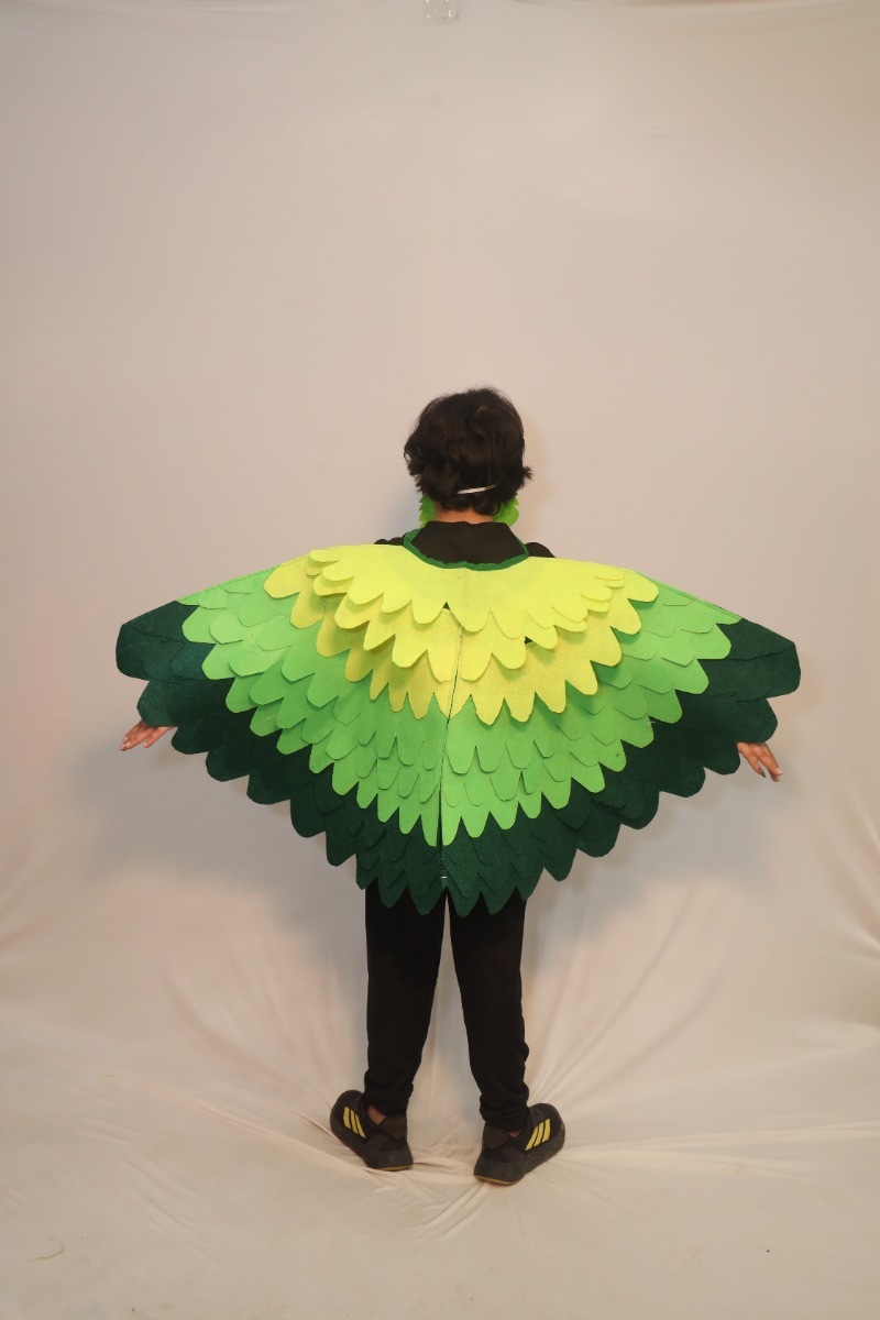 Parrot Wings Costume Accessory for Kids School Function, Stage Performance & Cultural Events