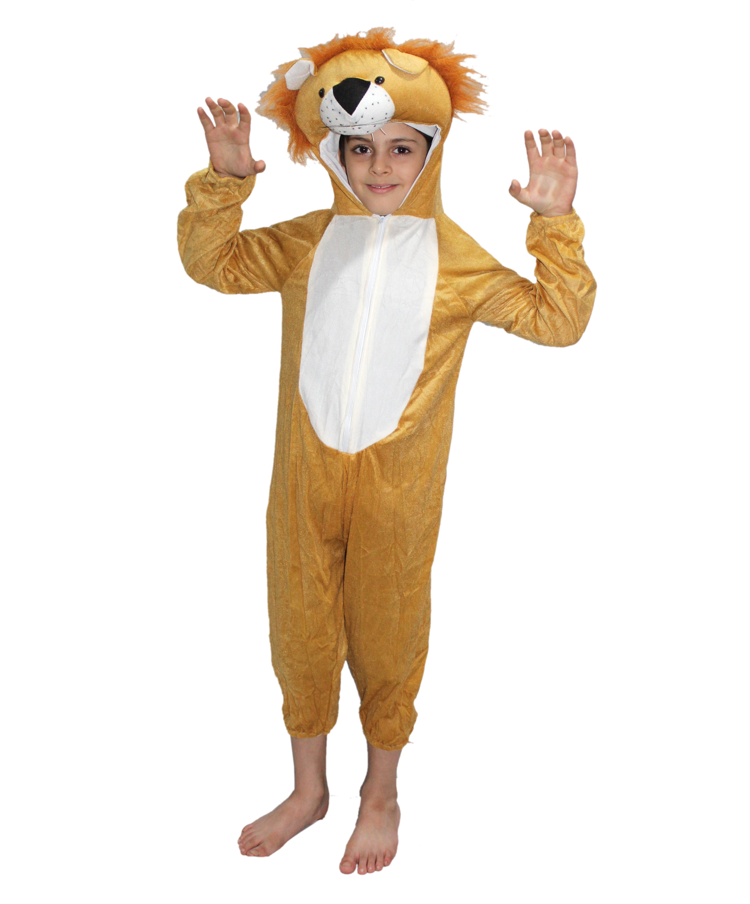 Lion Fancy Dress Costume for Kids