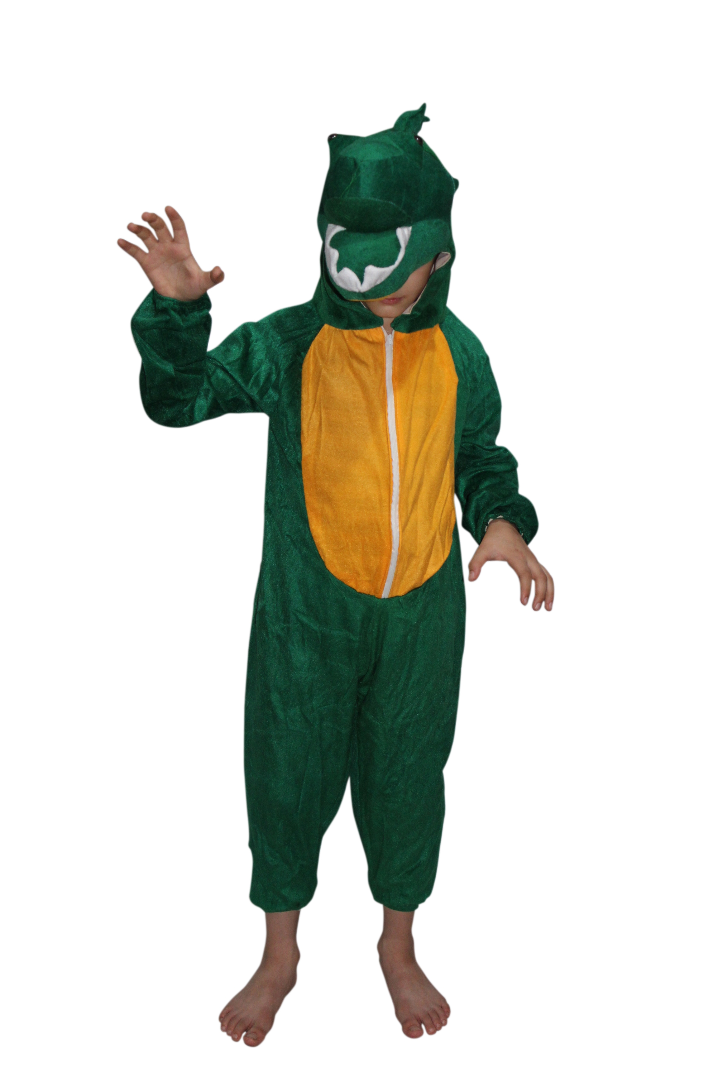 Kids Dinosaur Fancy Dress Costume