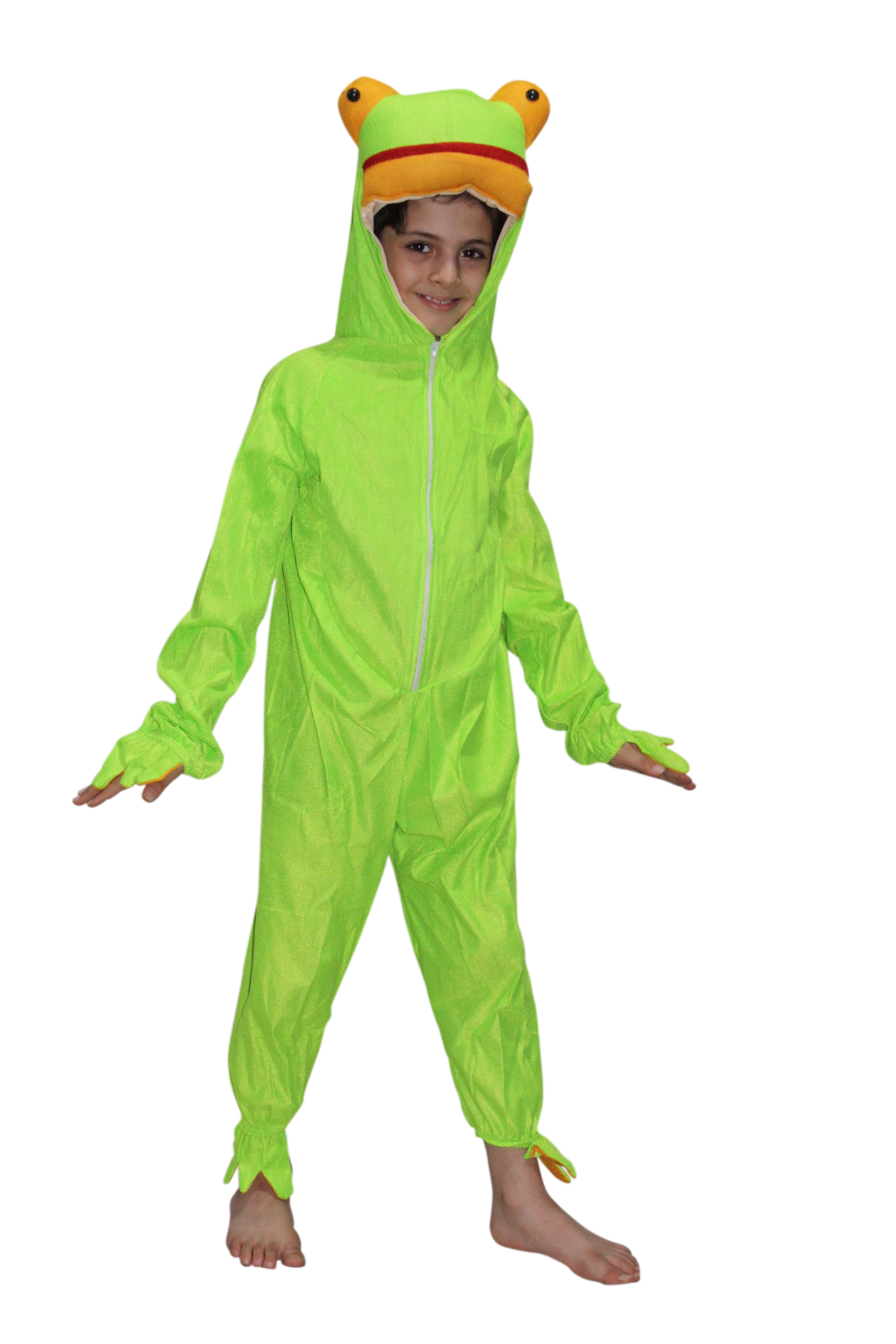 Frog Fancy Dress for Kids
