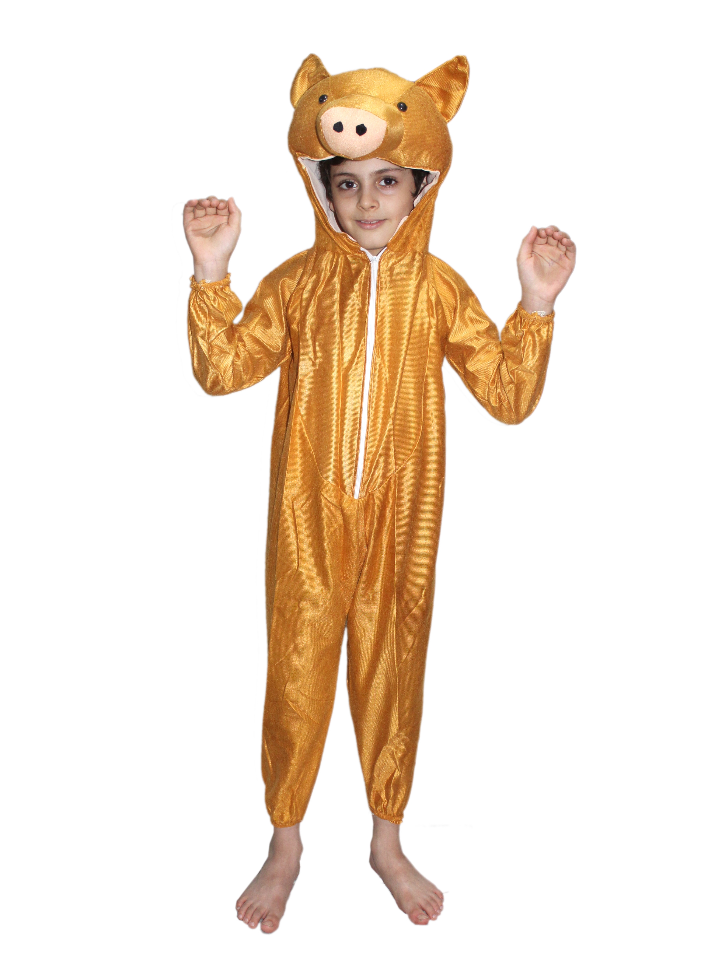 Brown Pig Fancy Dress for Kids