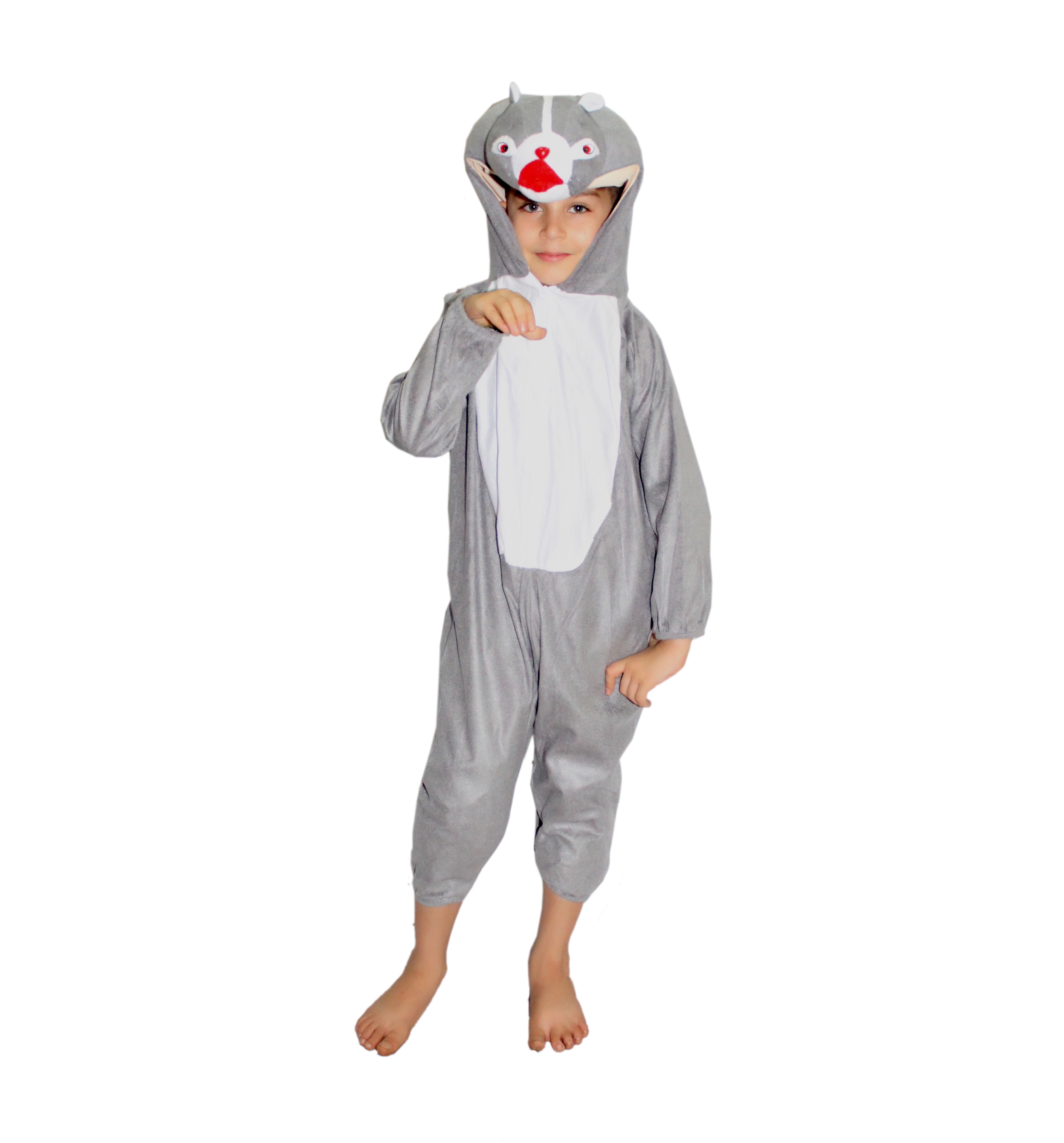 Squirrel Fancy Dress Costume for Kids