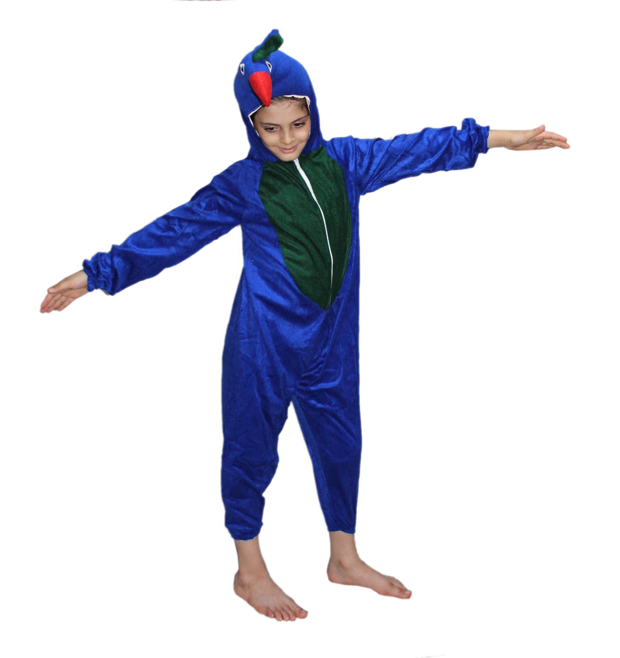 Peacock Fancy Dress Costume for Kids