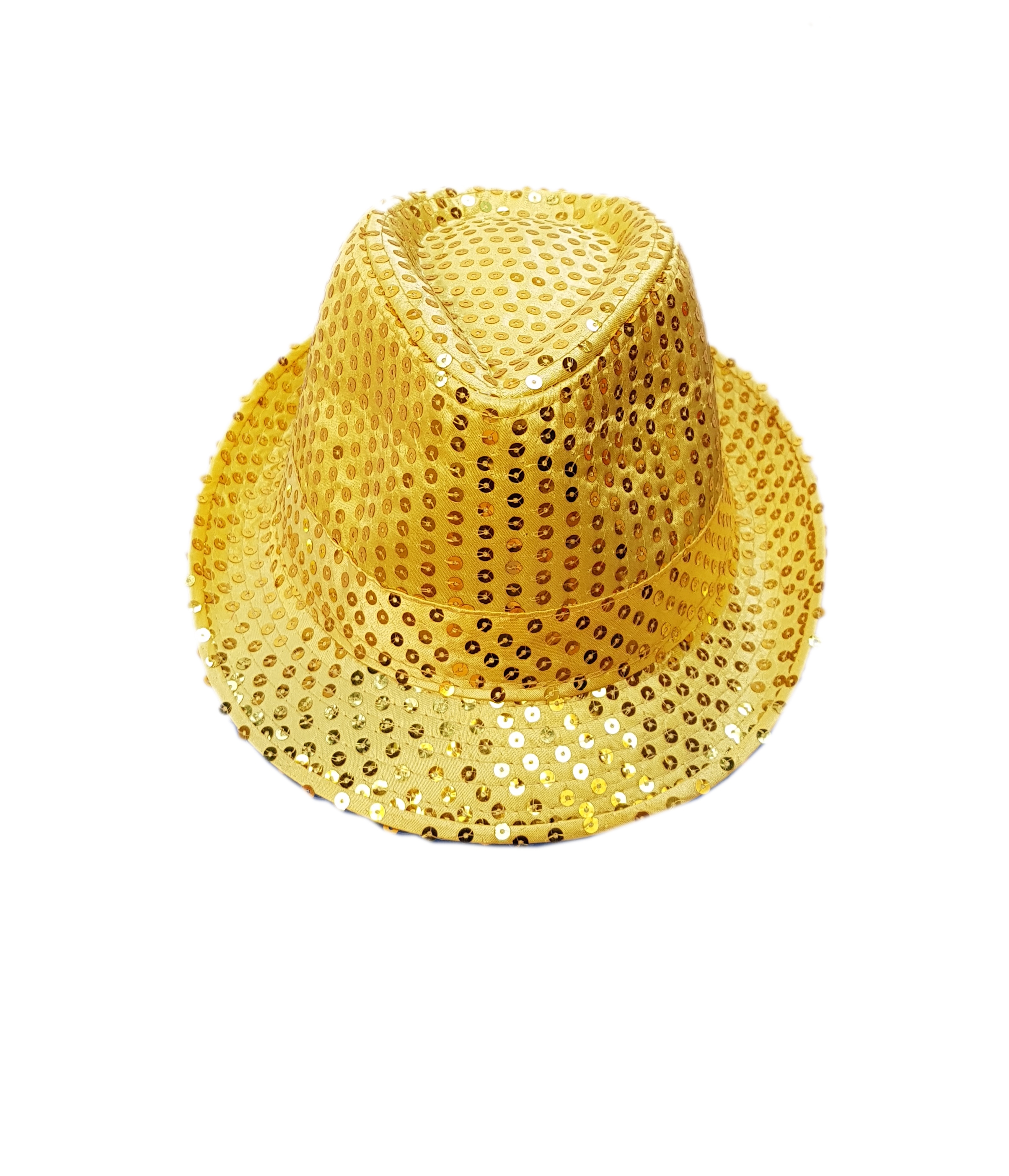 Multi-Color Party Hat