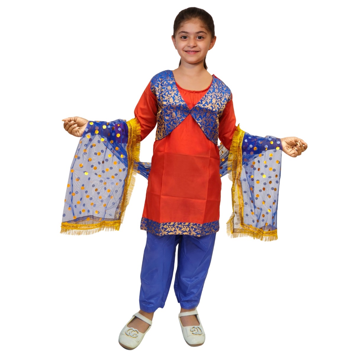 Punjabi Girl Ethnic Costume for Dance Performance & Parties