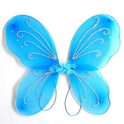Firozy Butterfly Wings for Kids