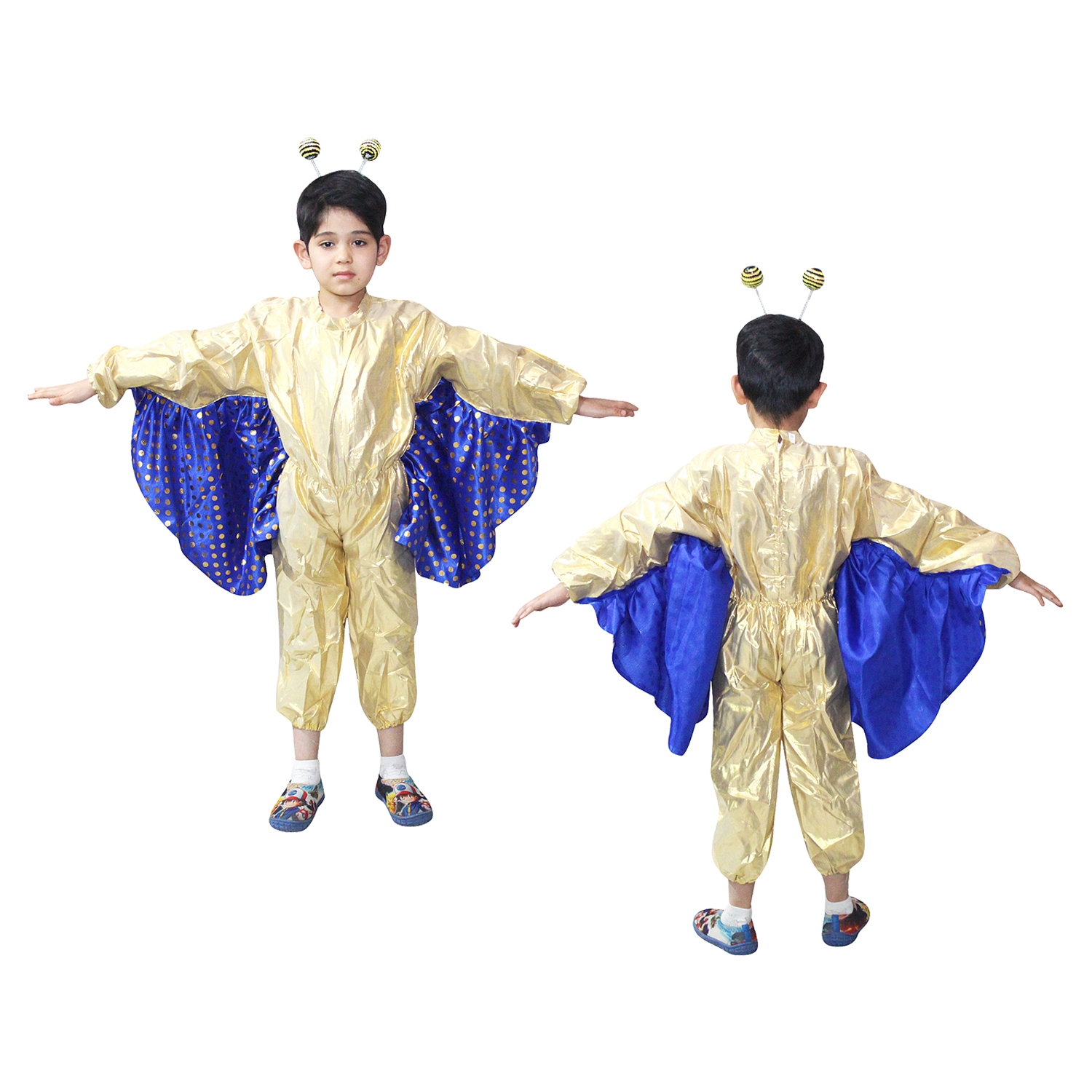 Butterfly Boy Fancy Dress for Kids