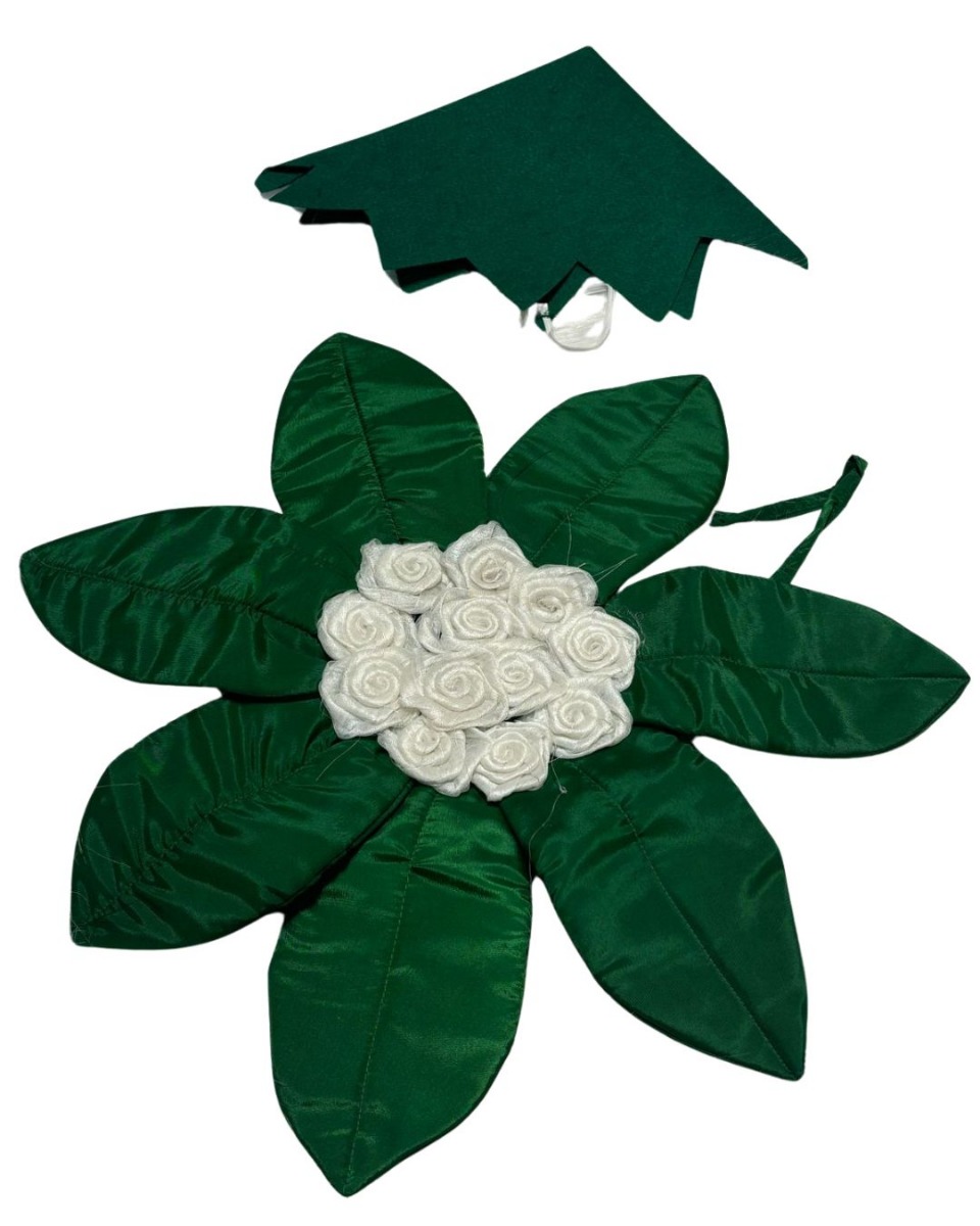 Cauliflower Vegetables Costume Cutout with Cap