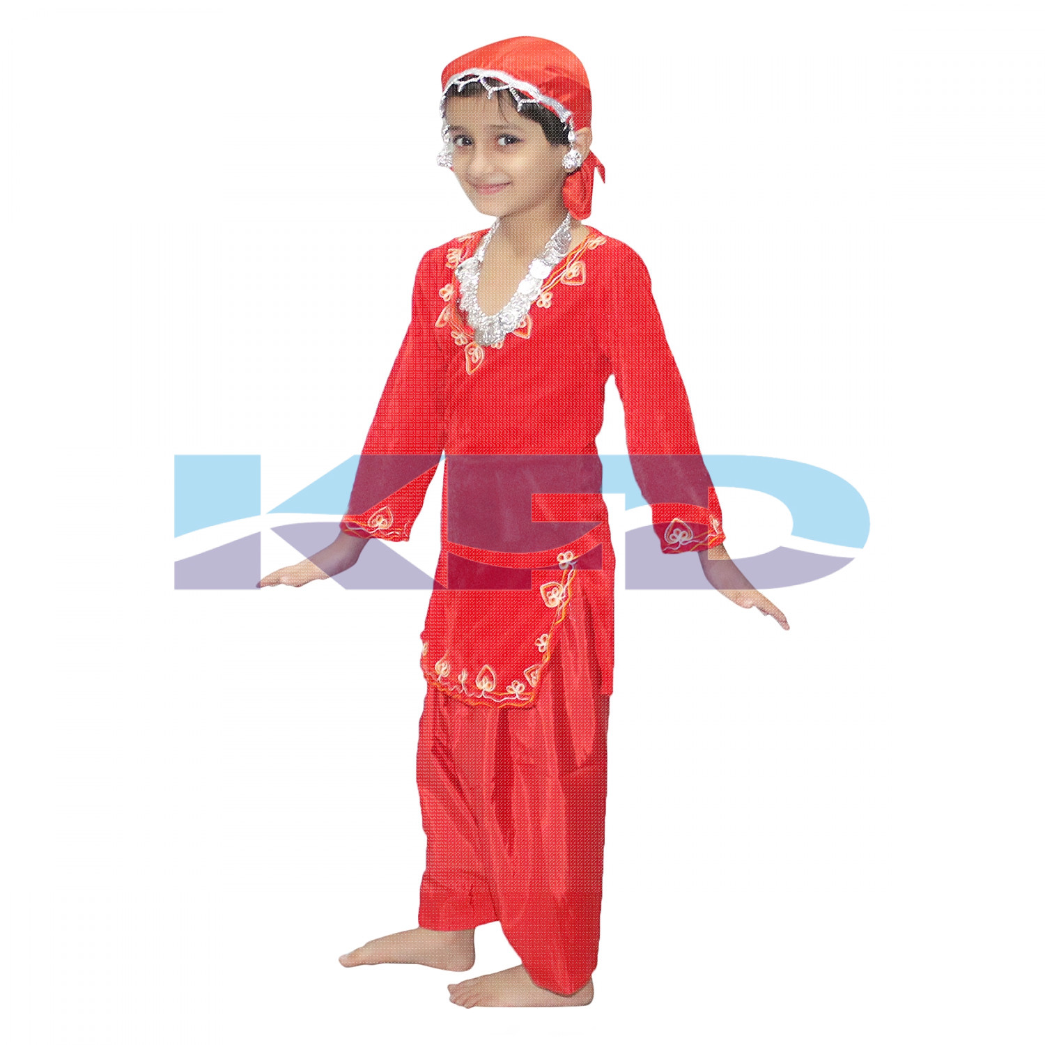 Kashmiri Girl fancy dress for kids,Indian State Traditional Wear ...