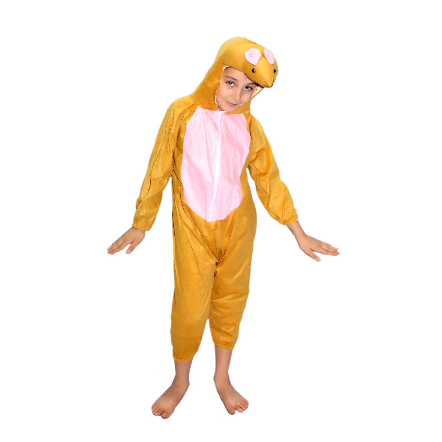 Rat Fancy Dress Costume for Kids