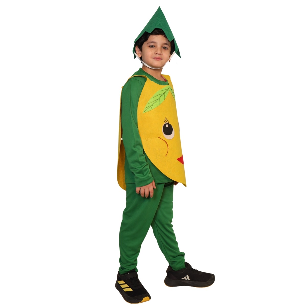 Mango Fancy Dress for Kids