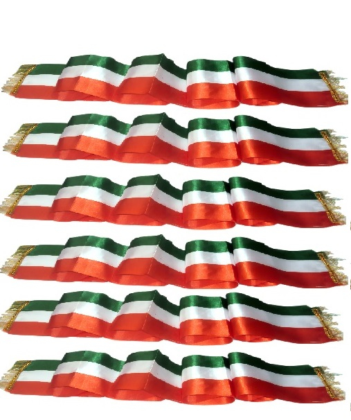 Patriotic Stole for Fancy Dress – Ideal for National Festivals & Events
